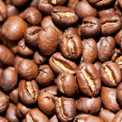 light roast