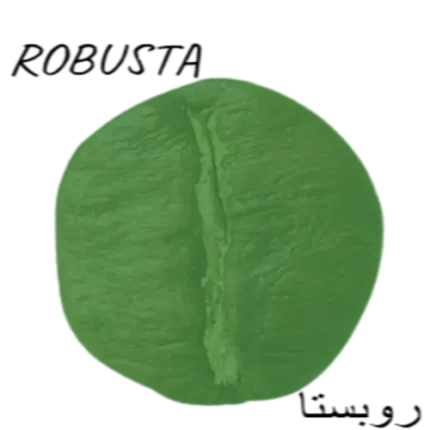 robusta bean